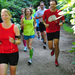 AOK Vorbereitungslauf. Quelle: SportZiel