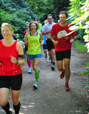 AOK Vorbereitungslauf. Quelle: SportZiel