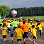 Seenlandmarathon - Der Landschaftslauf in Bayern. Quelle und Copyright: BABOONS