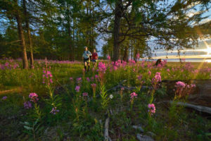 Wildblumen soweit das Auge reicht. MS2S Teilnehmer bekommen wunderbare Natur geboten. Bildrechte: www.ms2s.org / Khasar Sandag