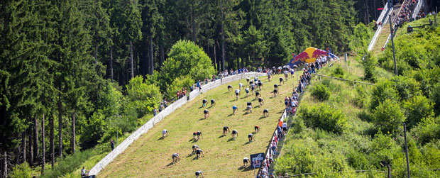 Red Bull 400 auf der Hochfirstschanze. Quelle: Red Bull Deutschland GmbH