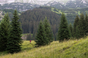 Die Zugspitz Trailrun Challenge. Foto: SCOTT ROCK THE TOP/Klaus Fengler