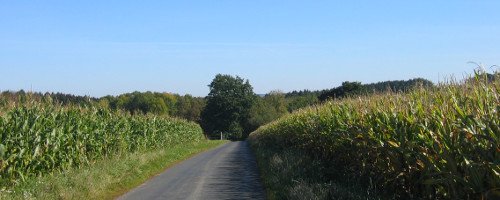 Lauftraining-Strecke Lauftraining-Strecke
