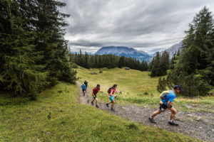 Transalpine-Run 2016. Foto: Harald Wisthaler