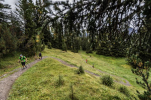 Transalpine-Run 2016. Foto: Harald Wisthaler