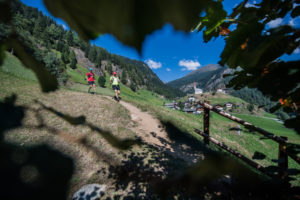 Transalpine-Run 2016. Foto: Harald Wisthaler (wisthaler.com)