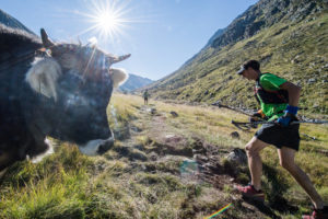 Transalpine-Run 2016. Foto: Harald Wisthaler (wisthaler.com)